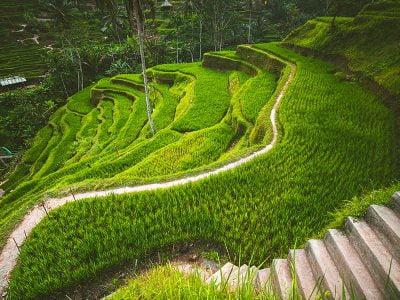 Ubud Tegalalang Nusa Getaway